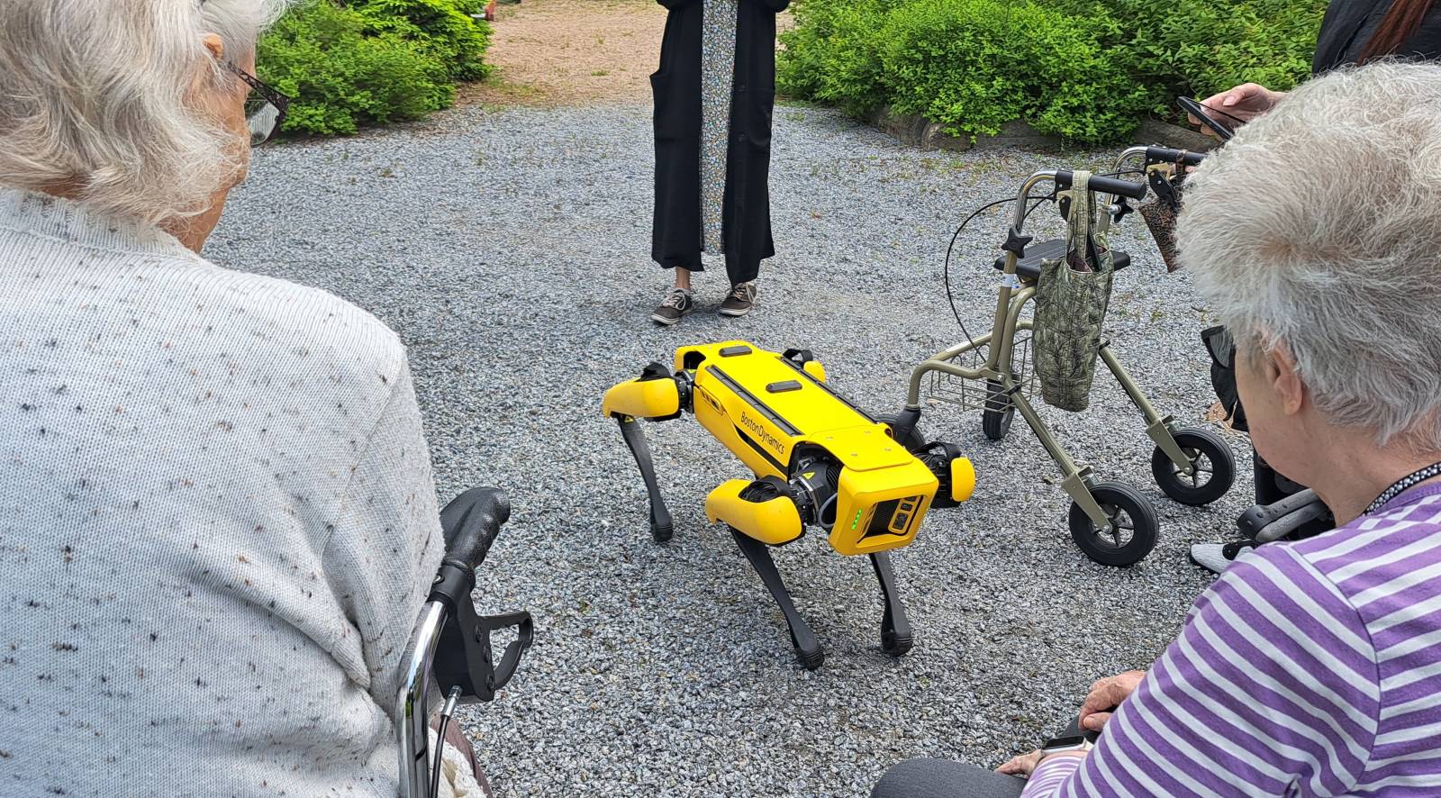 Kaksi ikäihmistä Spot-koirarobotin kanssa