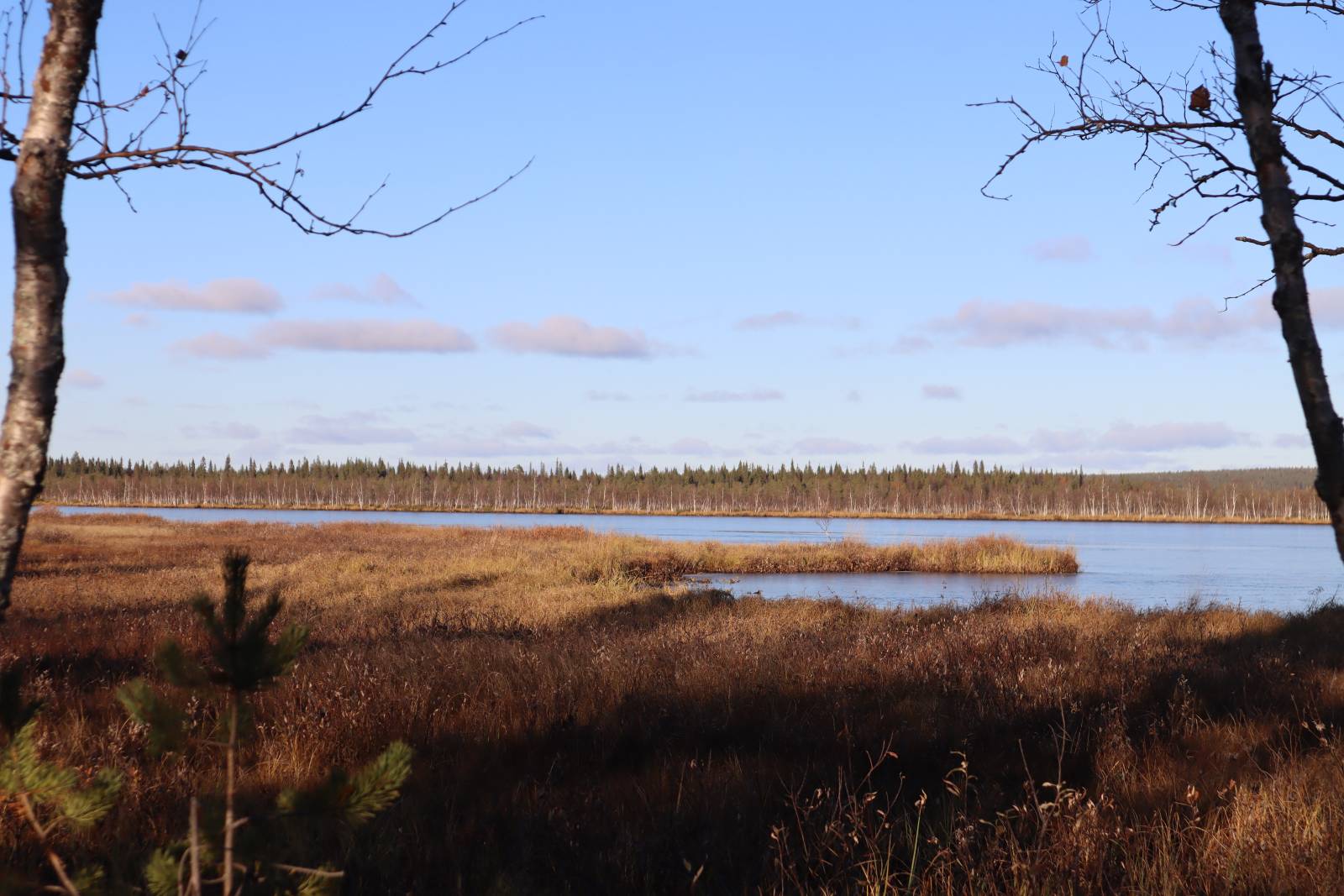 The rise of mining in Finland