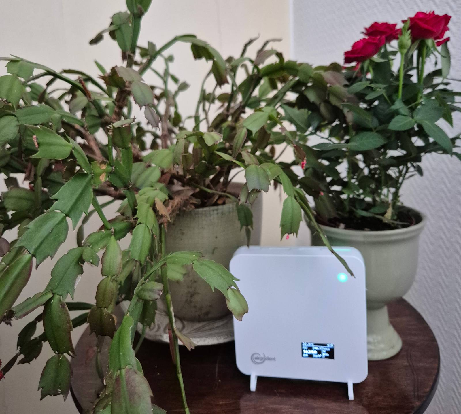An image of a low-cost air pollution sensor used for monitoring indoor air quality at homes.